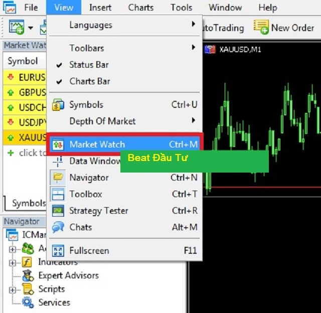 Mở cửa sổ Market bằng cách chọn vào mục View và chọn Market Watch