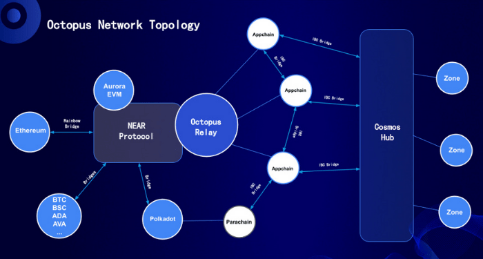 Một số khái niệm cơ bản về Octopus Network