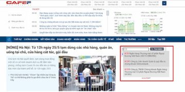 Tìm kiếm & download báo cáo tài chính các công ty niêm yết