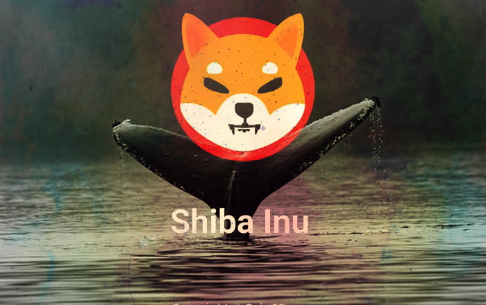 Một cá voi vừa mua 150 tỷ SHIB