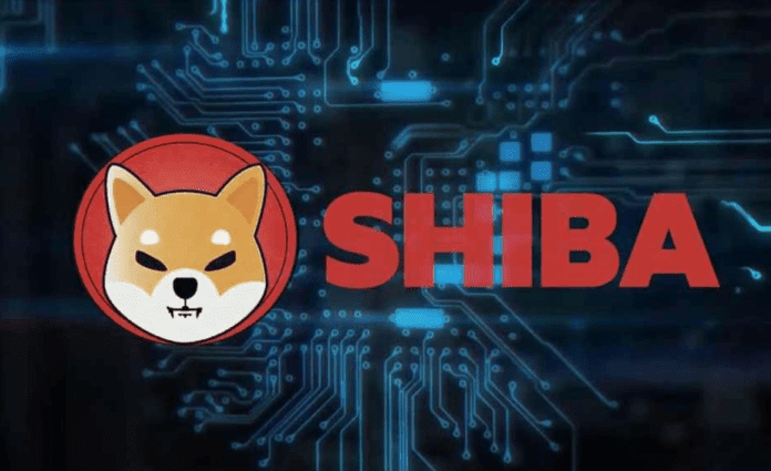 Poly Network bị hack, hàng tỷ Shiba Inu bị đánh cắp